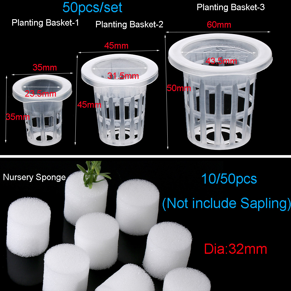 10/50pcs Garden Supplies Plant - Aquarium Plant Seeds recension och pris